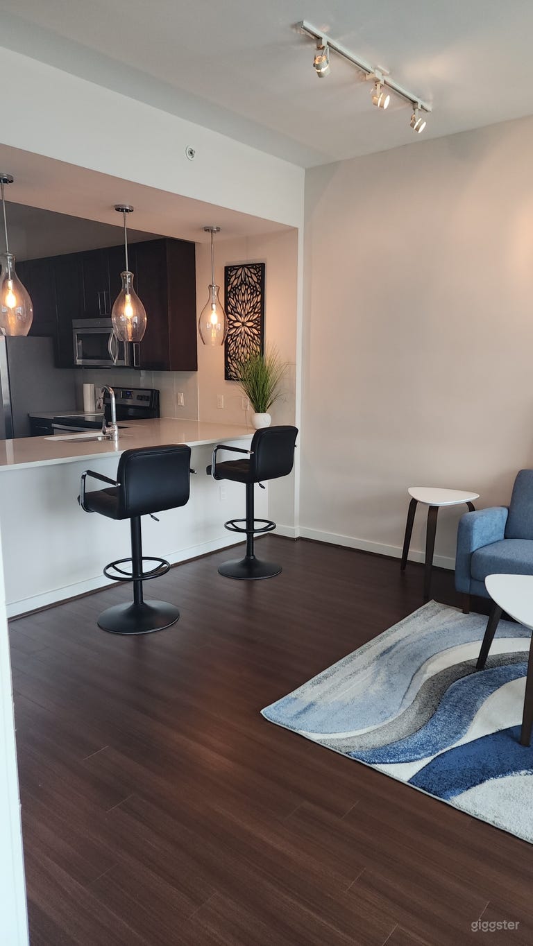  Beautiful Highrise Apartment with Great Views 