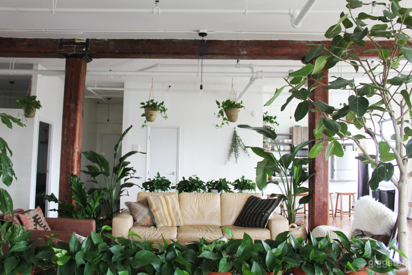 Artist's Sun-Filled Loft with Tons of Plants Photo 4
