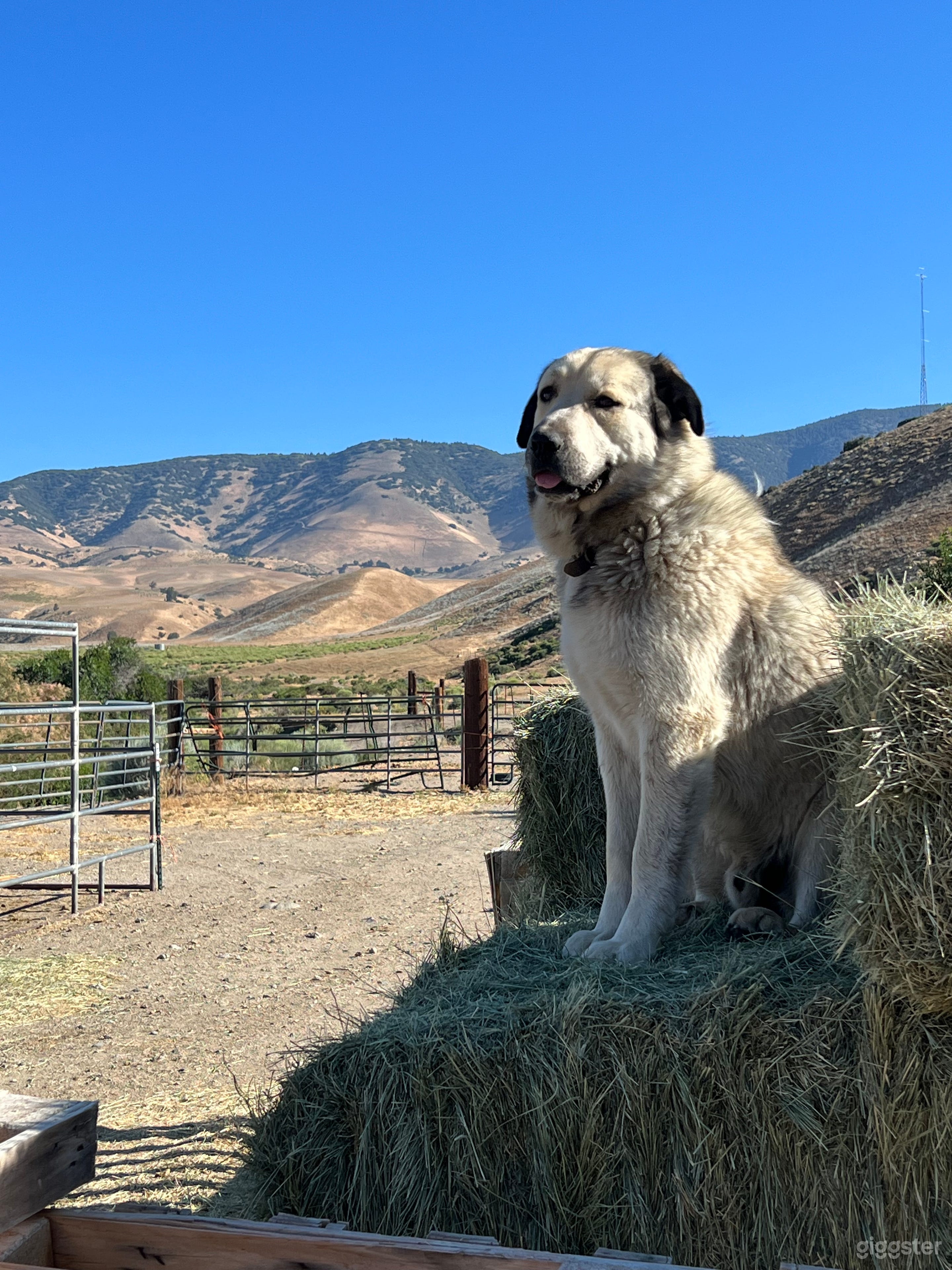 View to the north up the canyon.