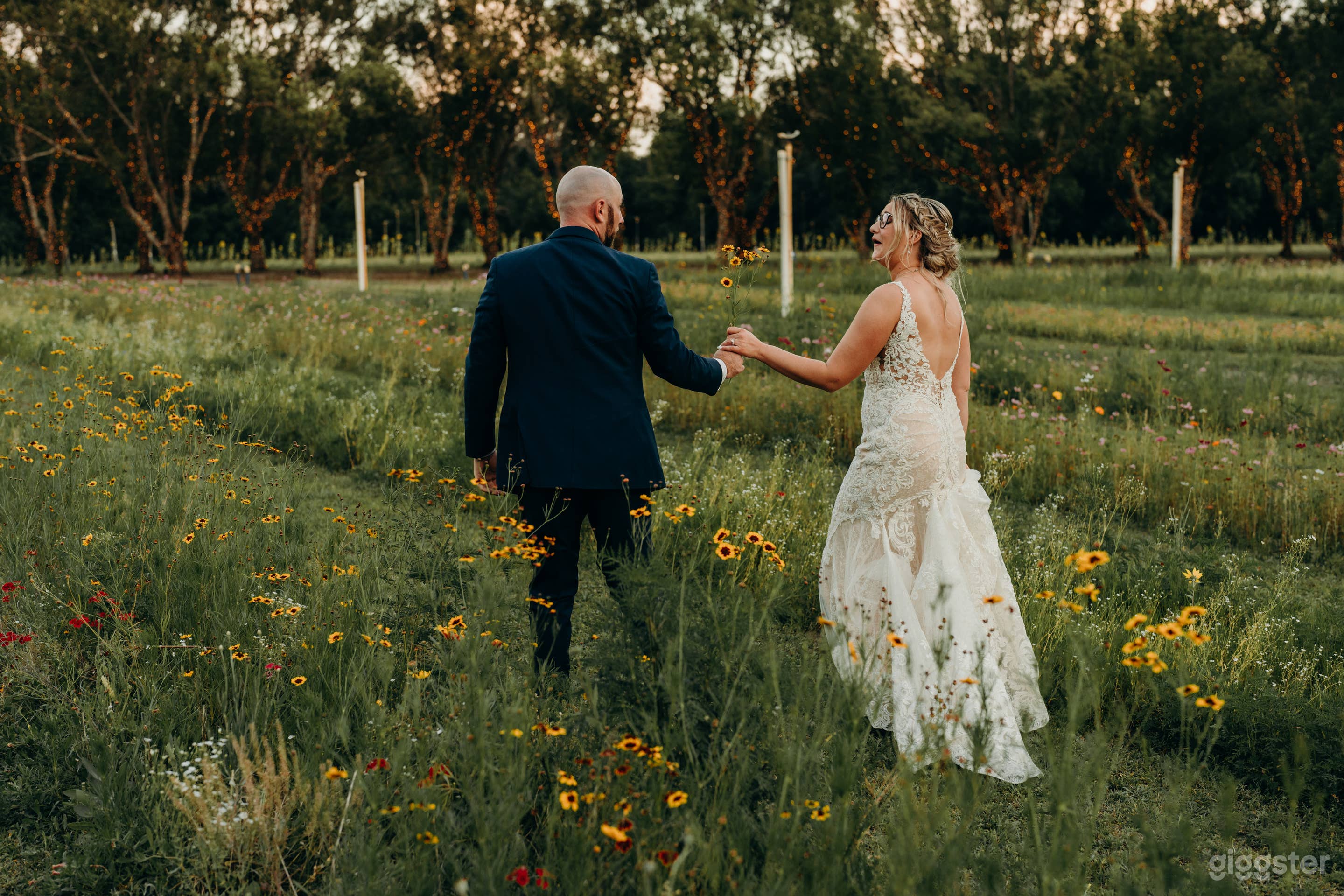 Beautiful Flower Field with Florida Wildflowers Photo 2