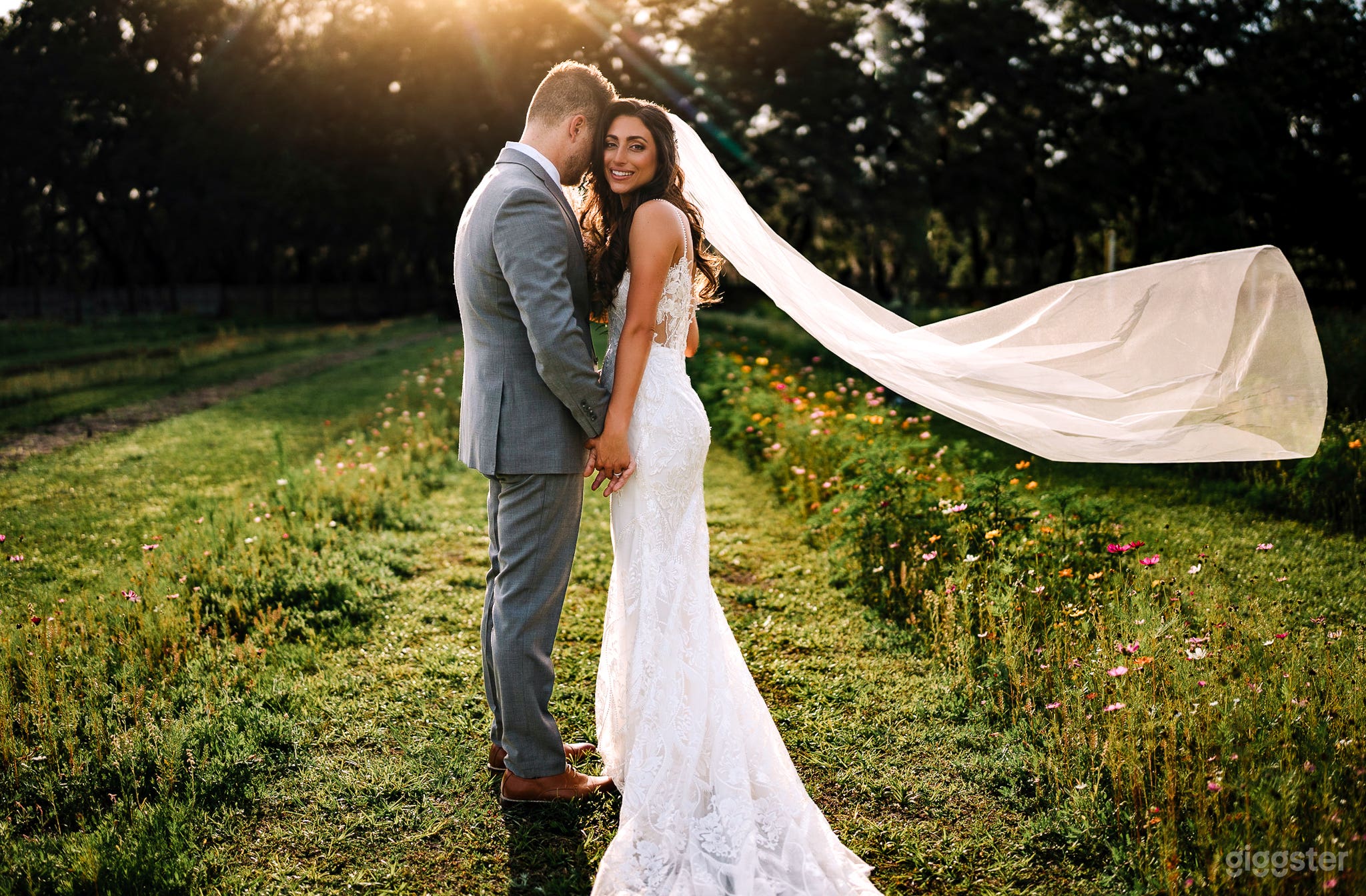 Beautiful Flower Field with Florida Wildflowers Photo 1