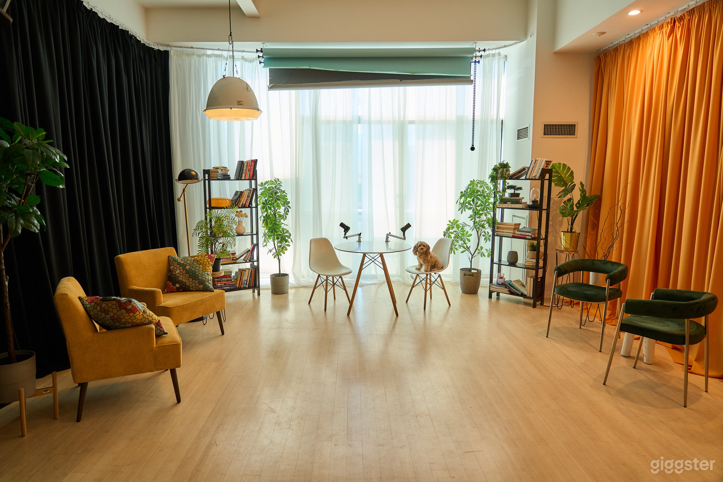 Bright, Loft-Style 1,000 SQ FT Studio Photo 1