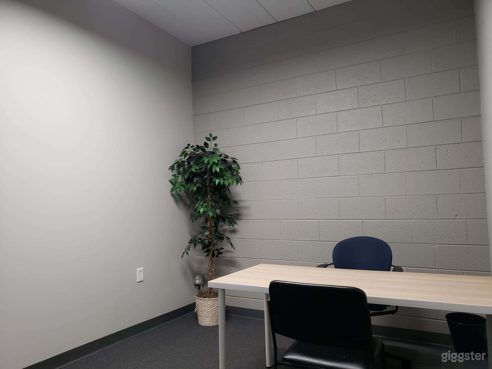 Private Small office in Livonia Photo 4