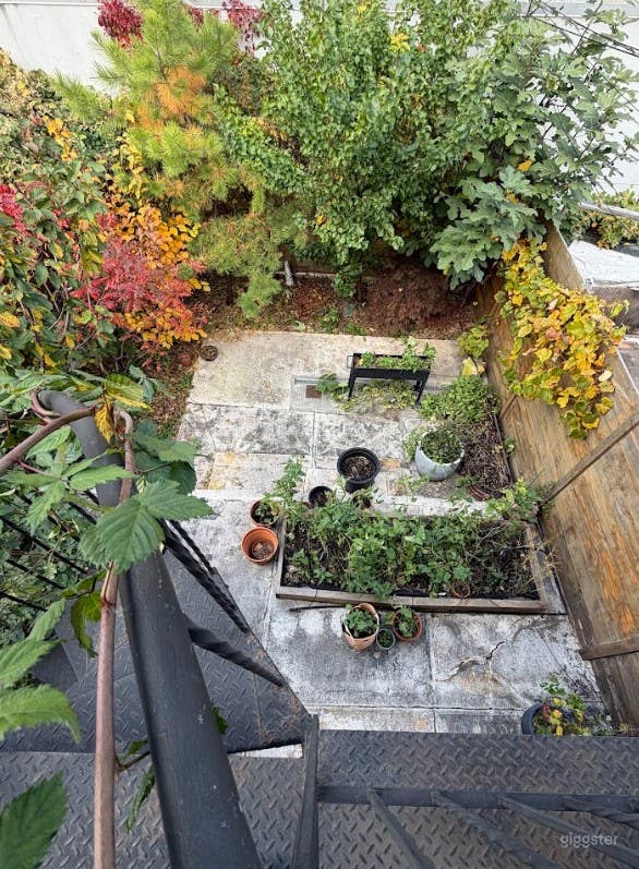 Charming Urban Gardener's Backyard Photo 2