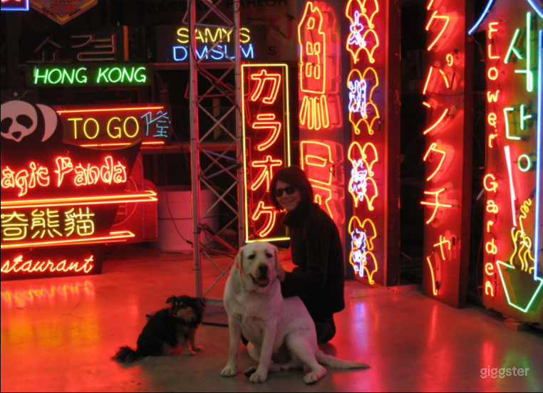 Nice and Colorful Neon Studio Photo 2