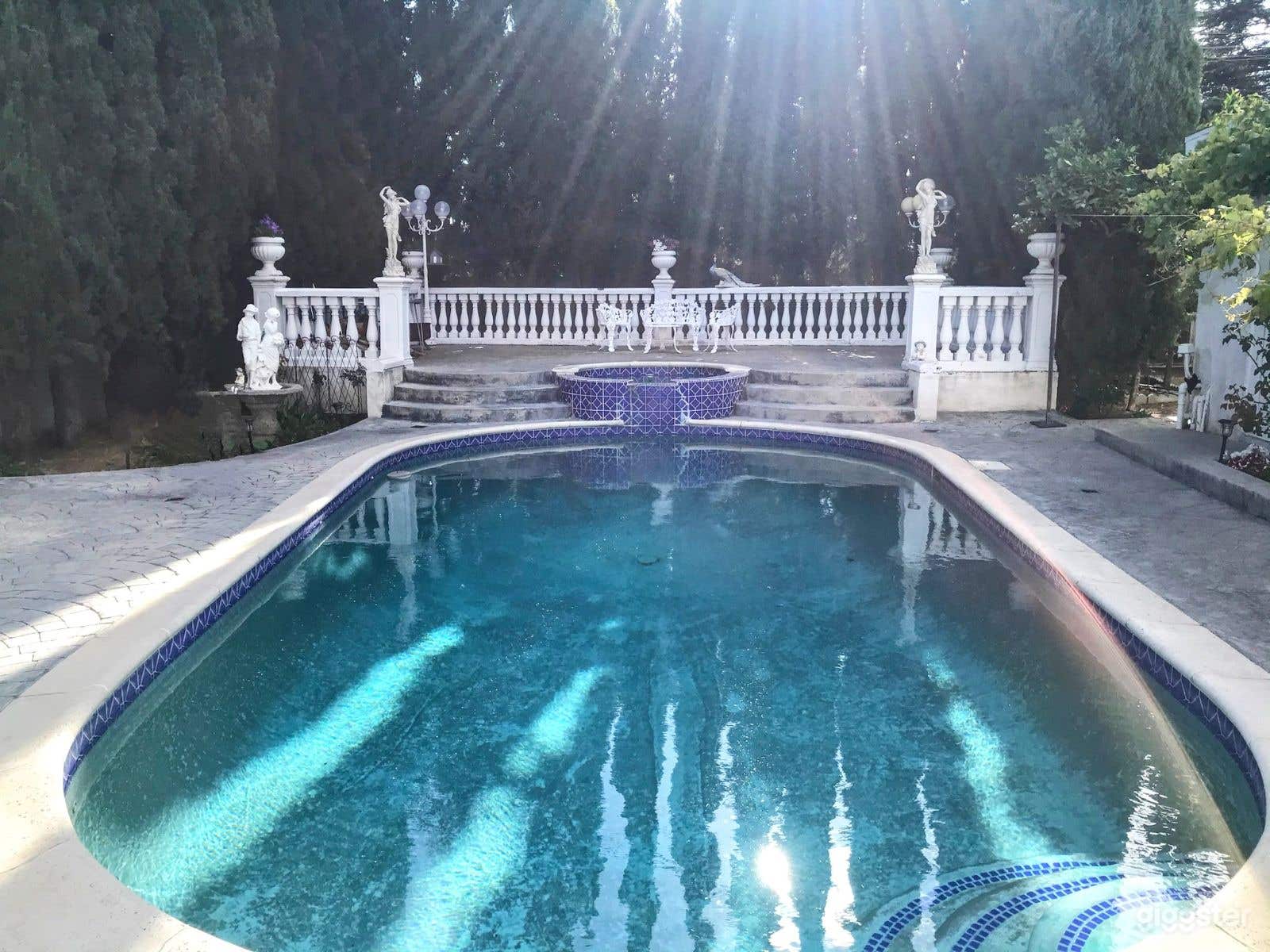 ✨ Stunning Private Poolside Oasis for Photo Shoots Photo 3