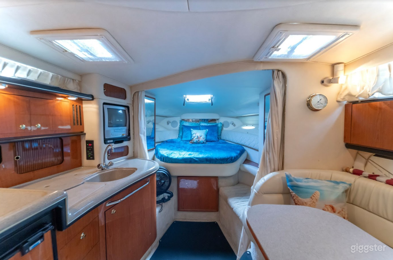 Wide and Winning 34FT  Sea Ray Sea Isle #2 Party Boat Space Events Photo 3