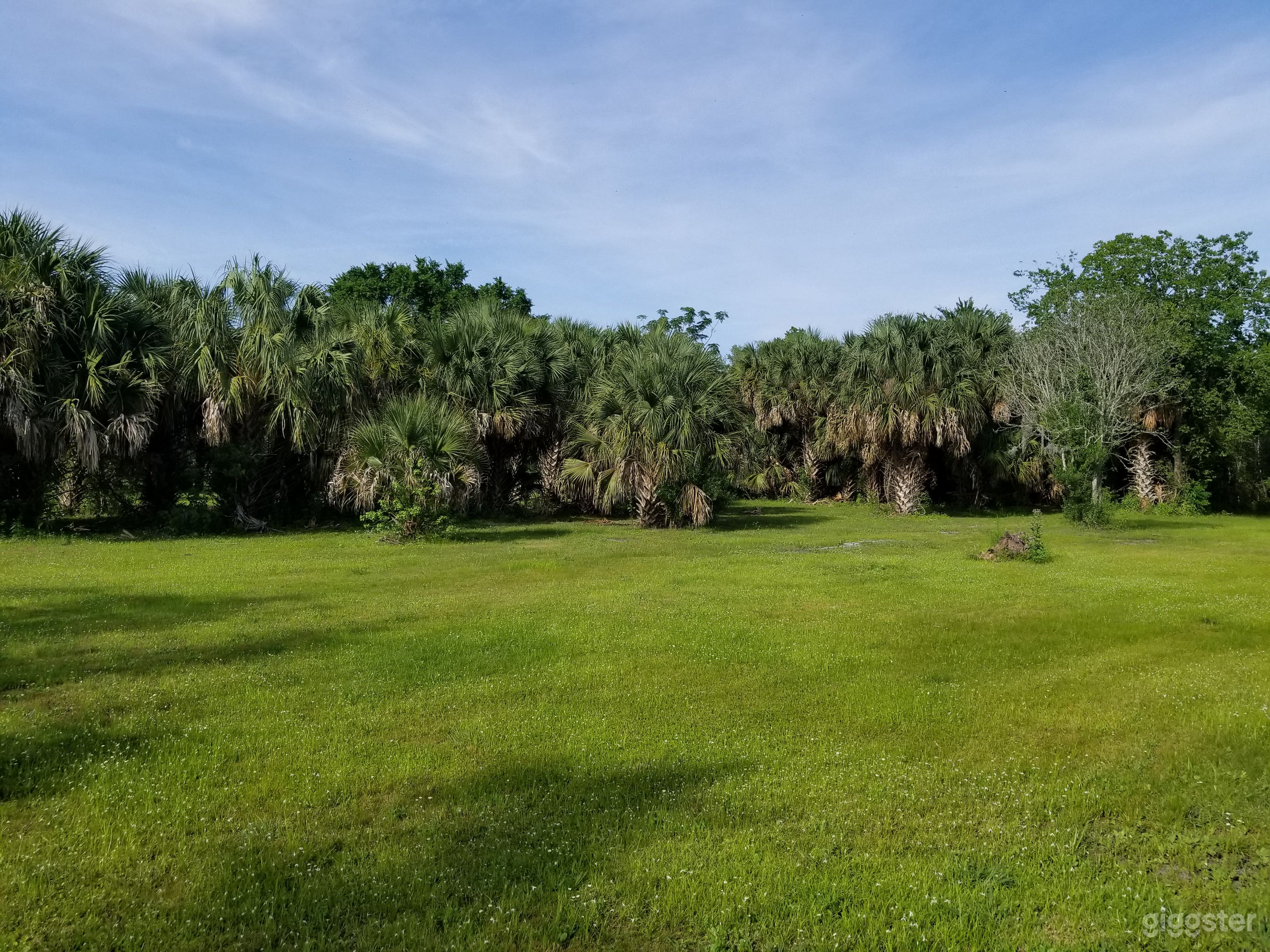 Cleared area.  Plenty of room to build anything.