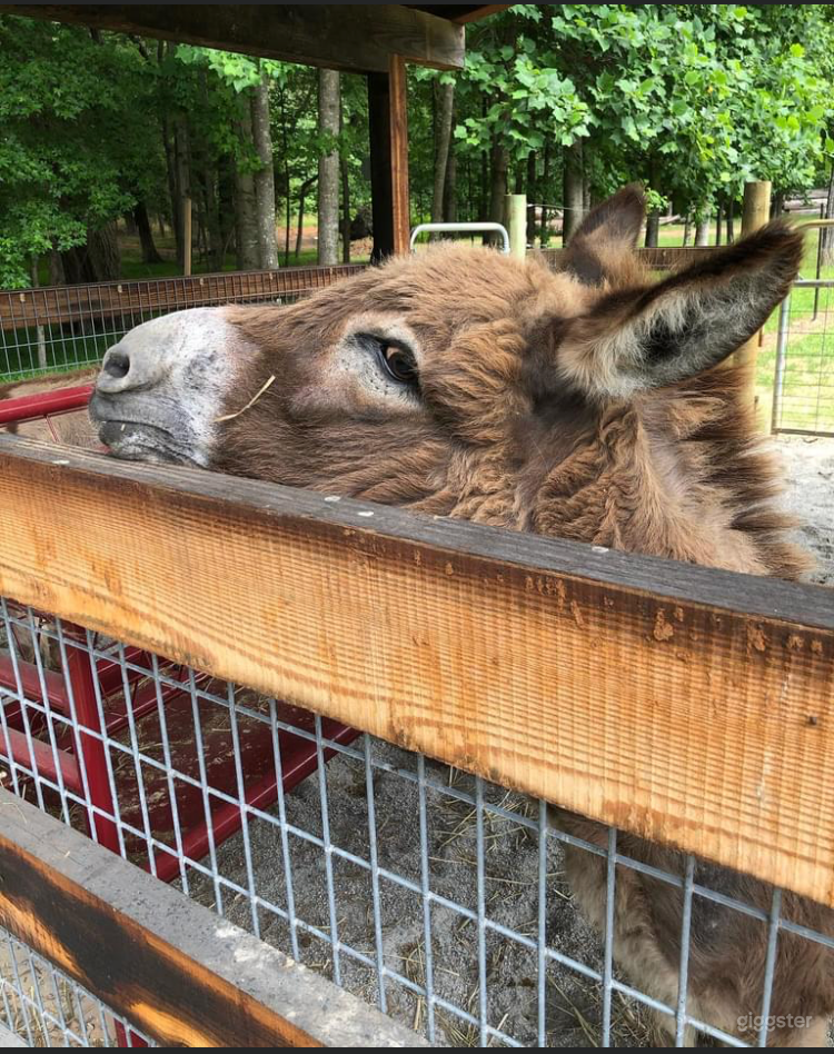  Farm With Outdoor Event Space 