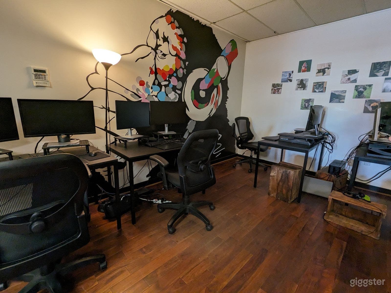 Cozy 1500 sq ft Studio Space for Rent Photo 2