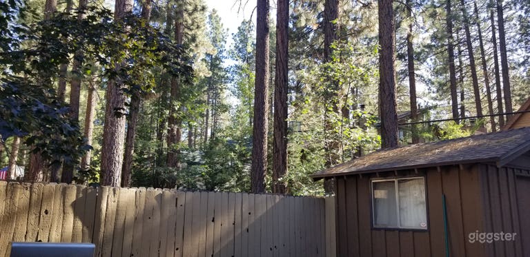  Big Bear 4bed House Cabin Next Snow Summit & Lake 