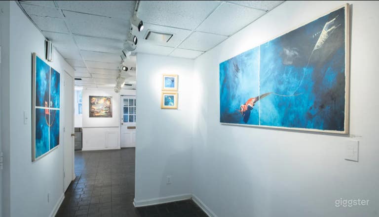  Beautiful Lower Level Art Gallery In Dupont Circle 