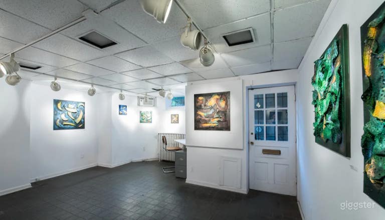  Beautiful Lower Level Art Gallery In Dupont Circle 