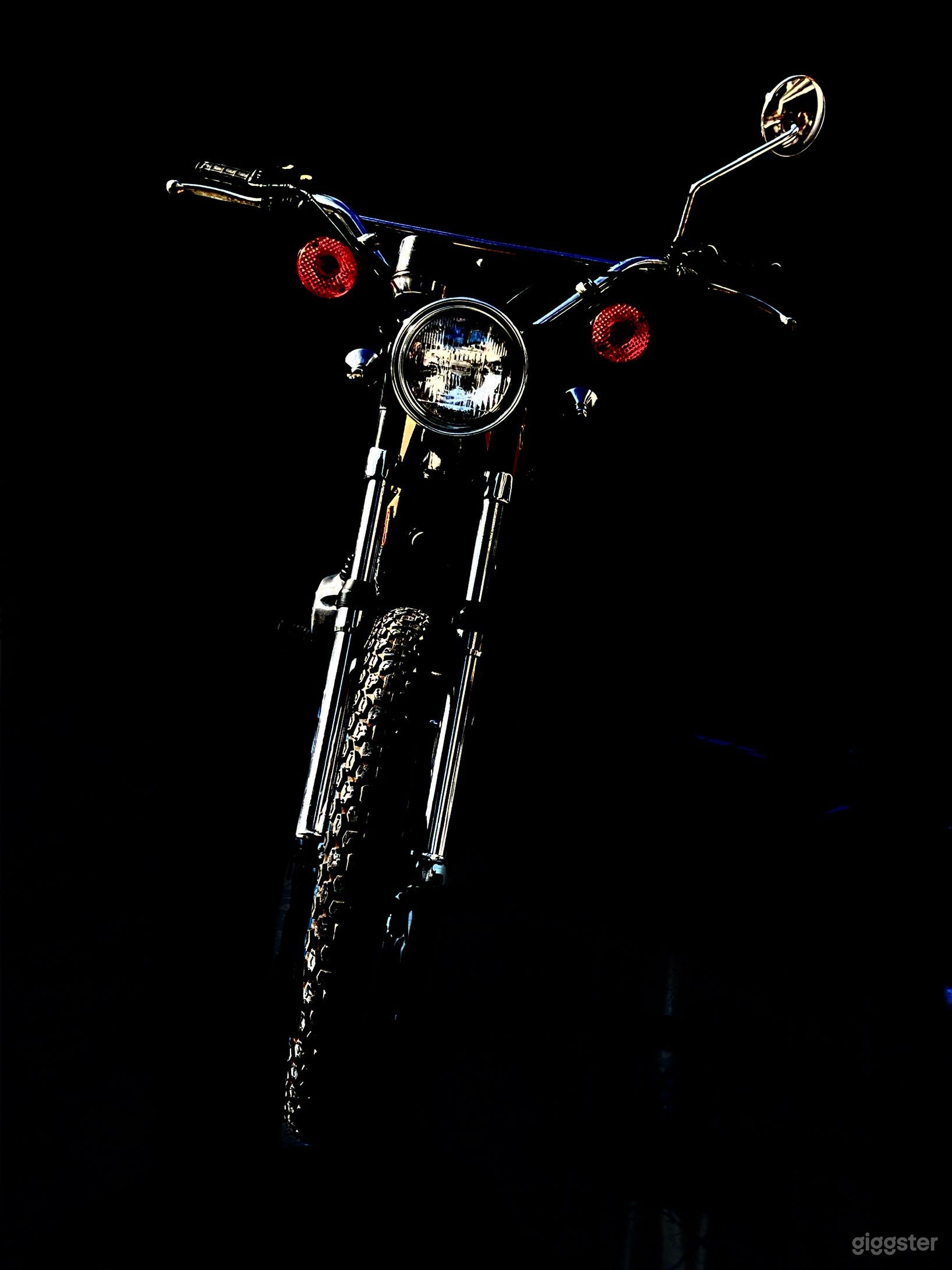 VINTAGE ENDURO Photo 3