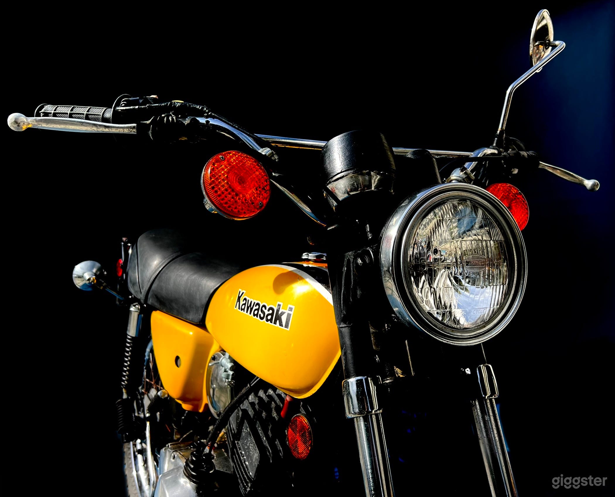 VINTAGE ENDURO Photo 4