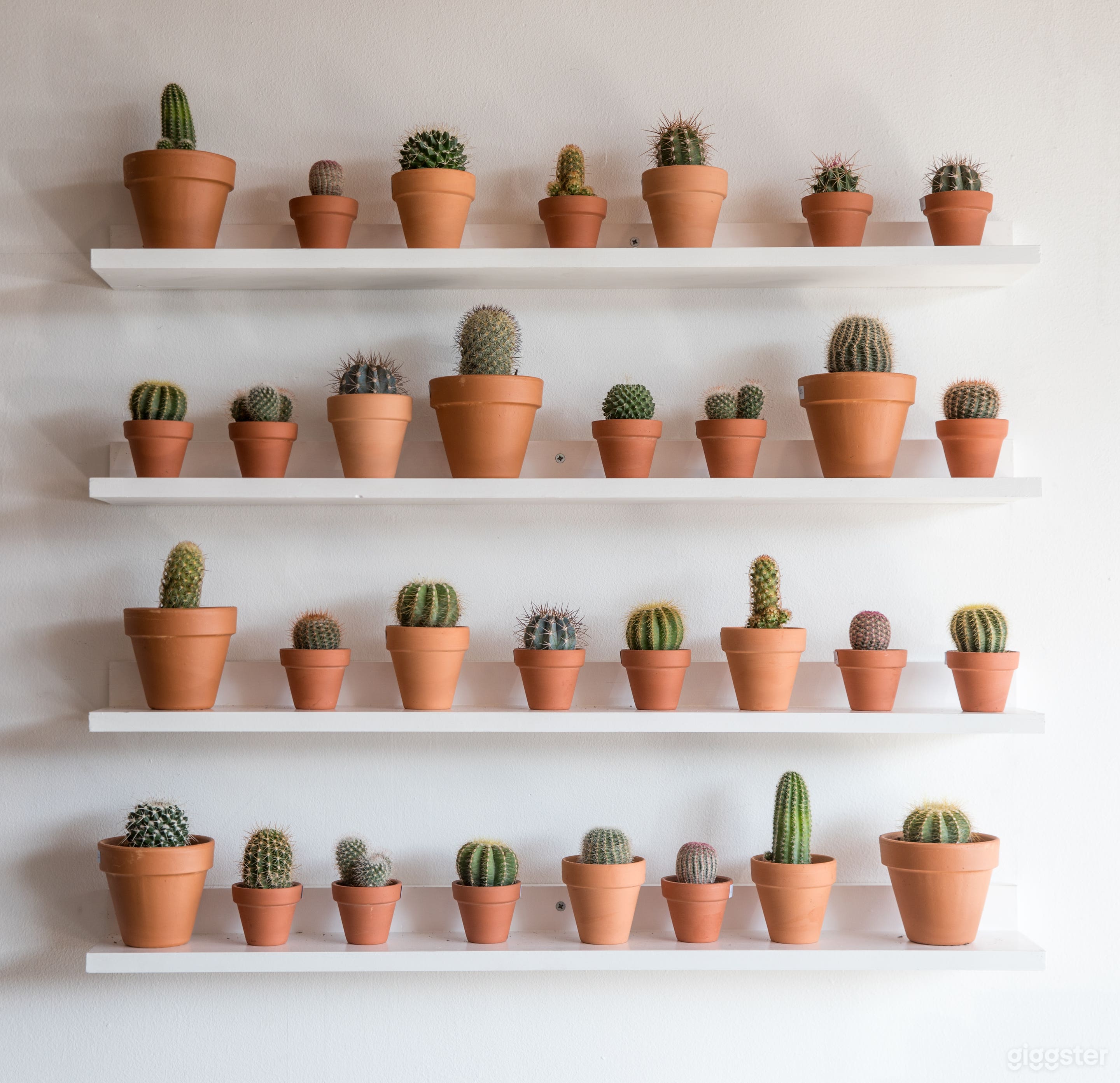 Happiness Garden Cafe Photo 3