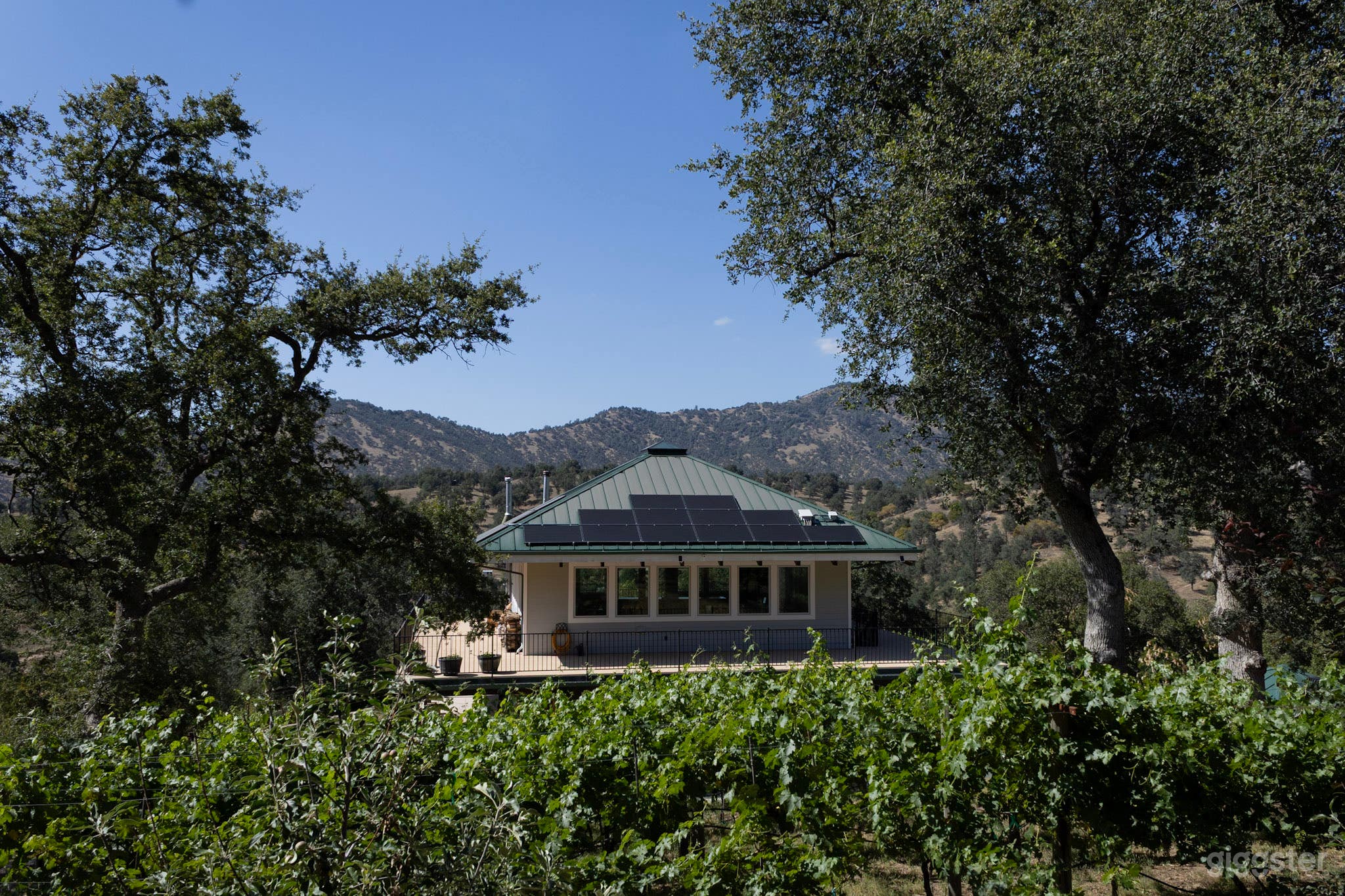 The Hilltop House / 360 Views / Near Trail of Giants Photo 3