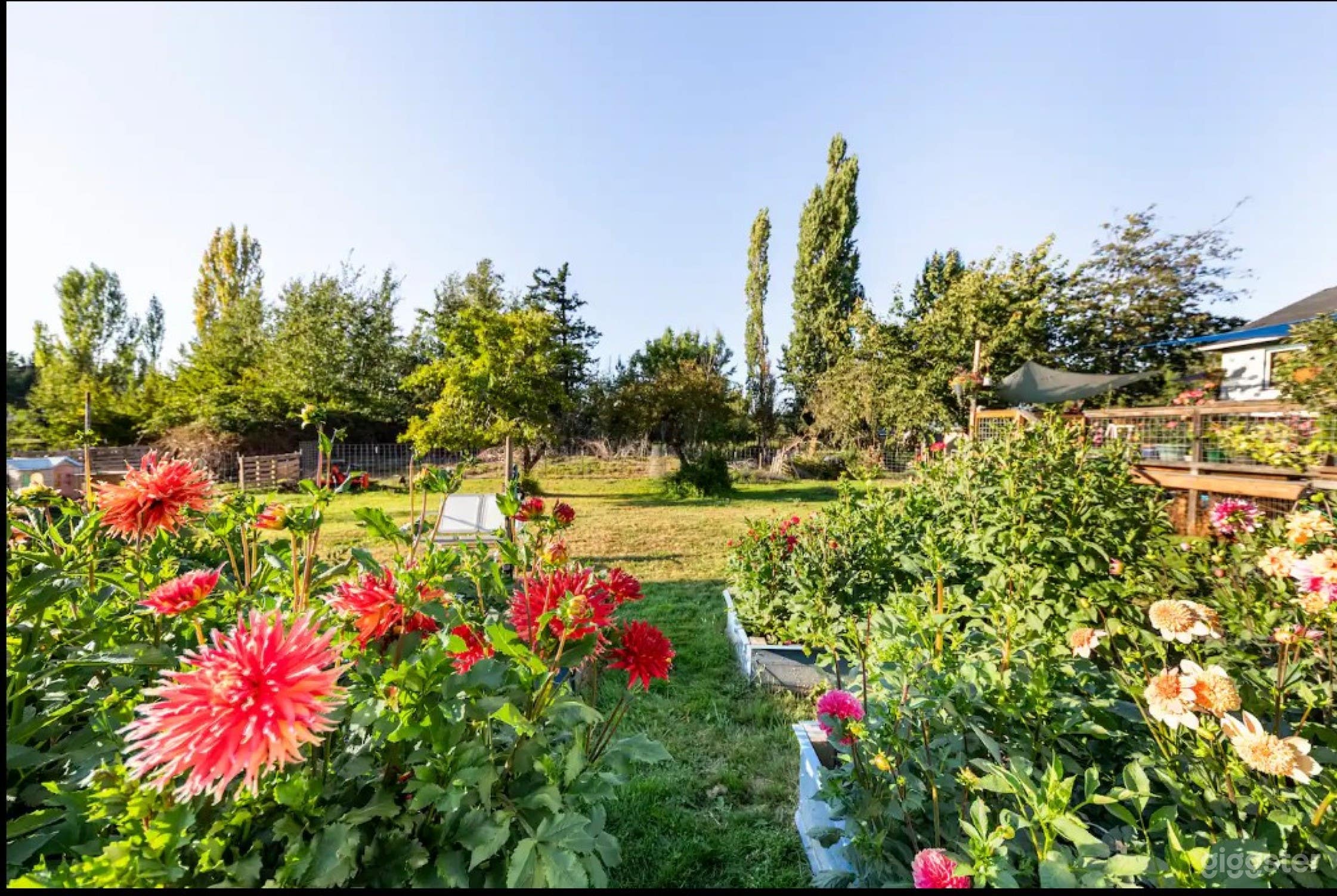 Outdoor Masterpiece  Photo 1