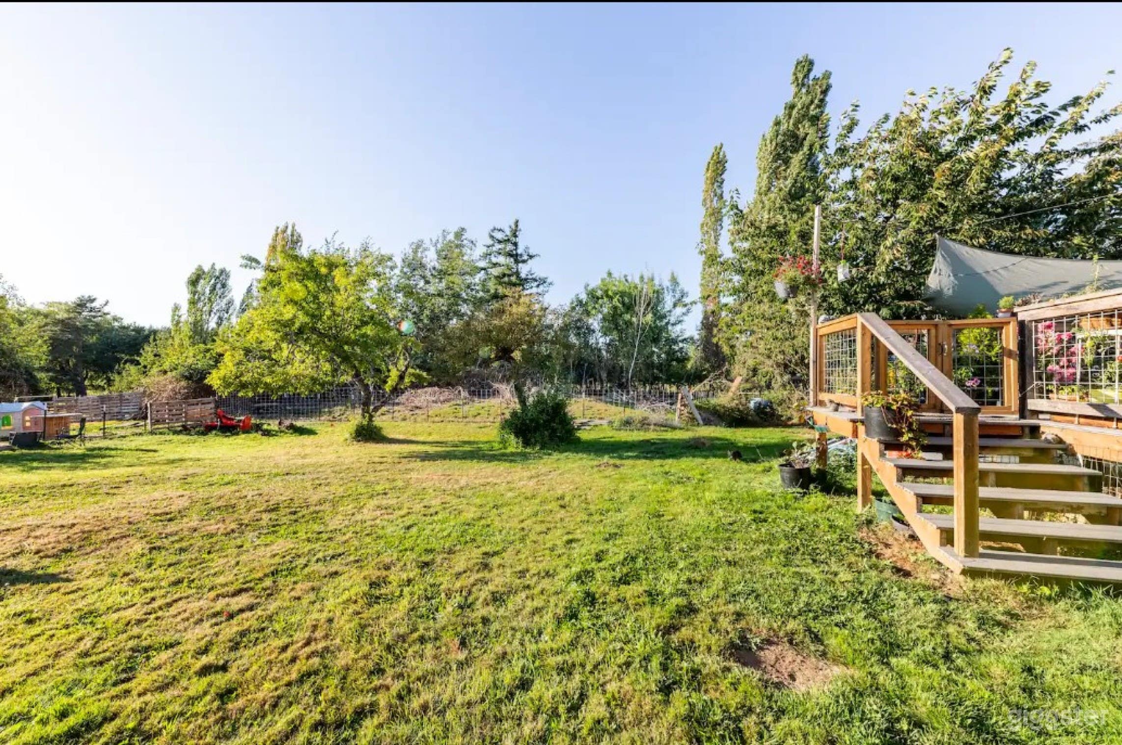 Outdoor Masterpiece  Photo 4