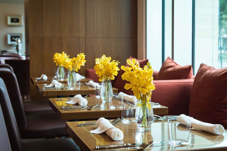  Modern and Stylish Dining Room in Houston 