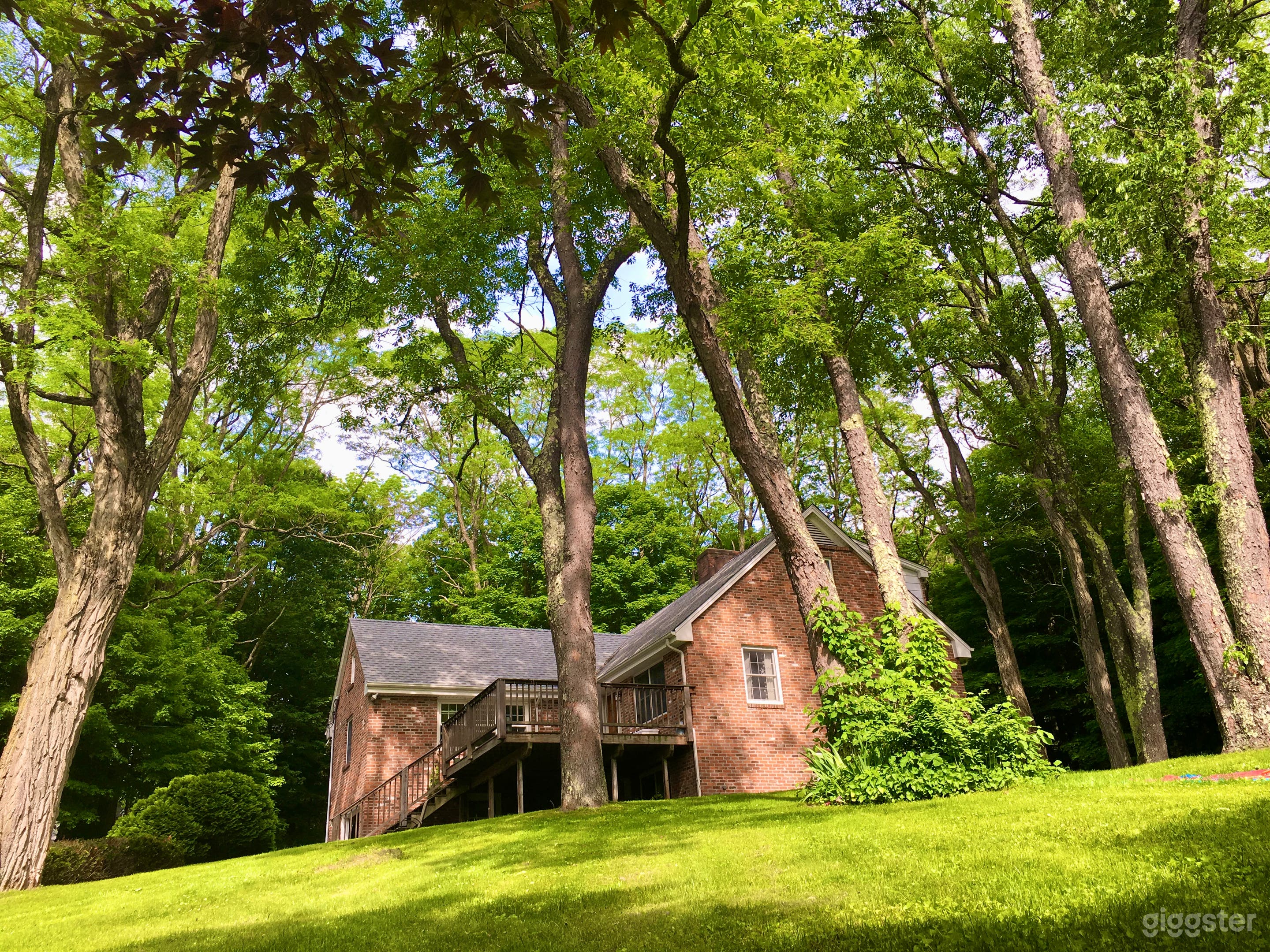 Cheerful 4 Bed modern country house in the woods Photo 2