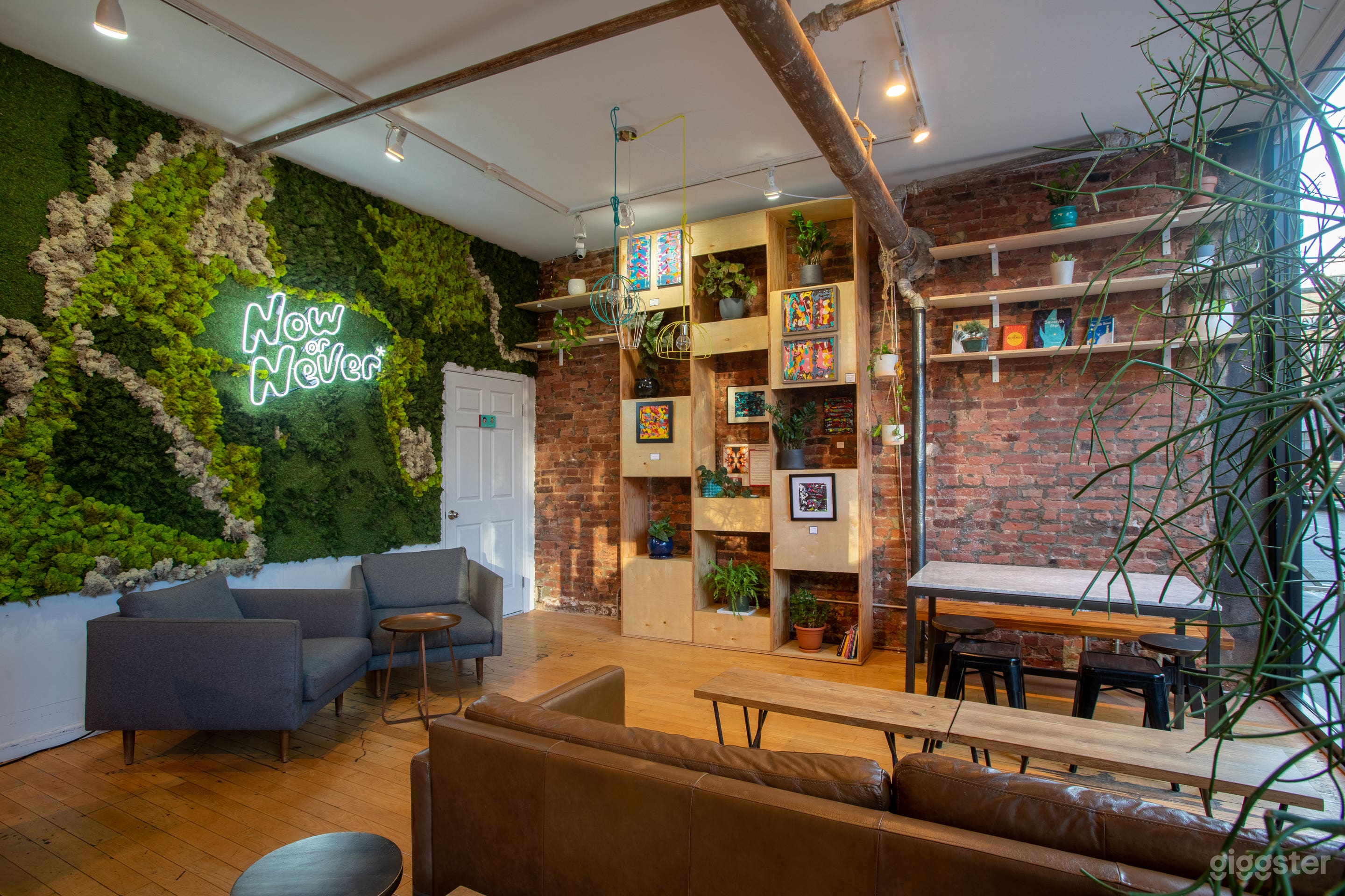 Now or Never Coffee Photo 2