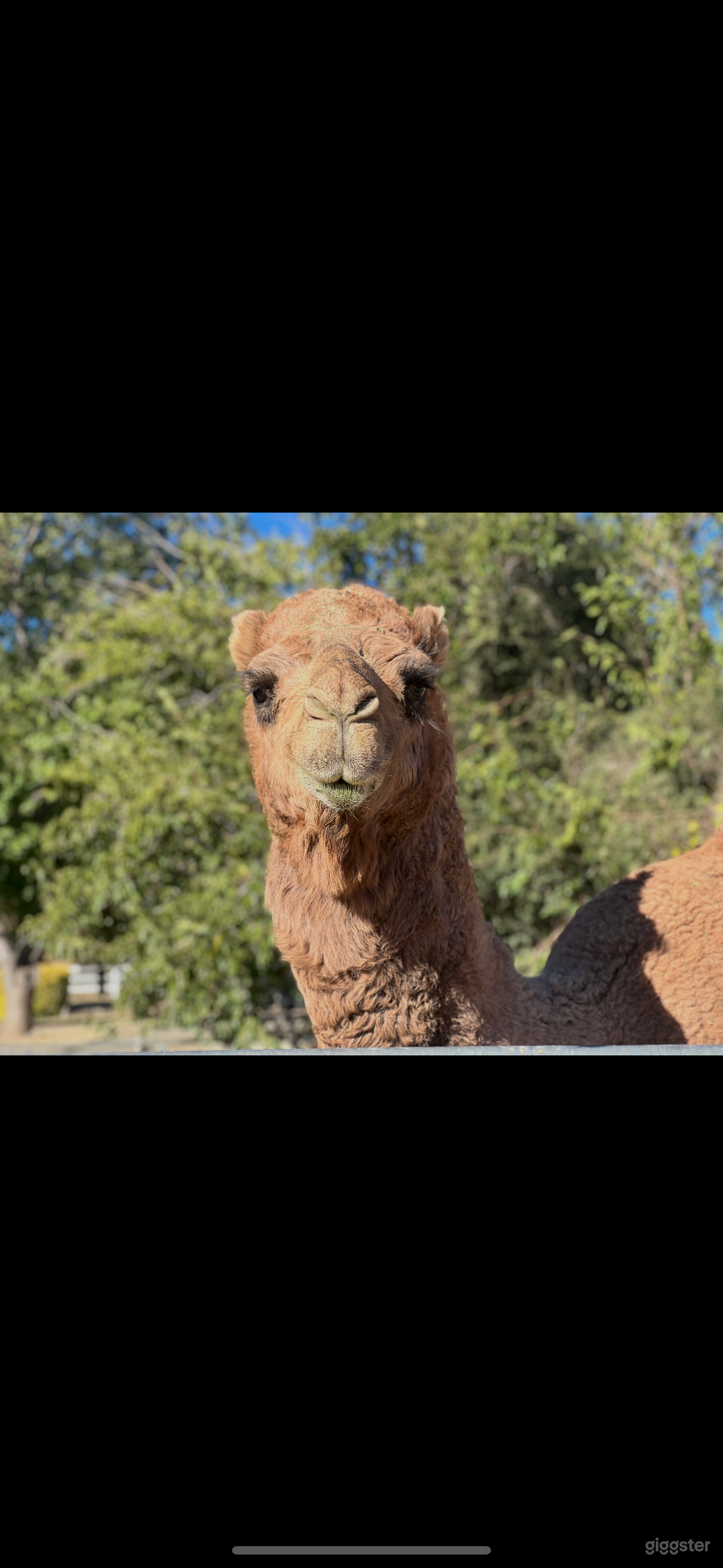 10 Acre Horse Ranch Photo 1