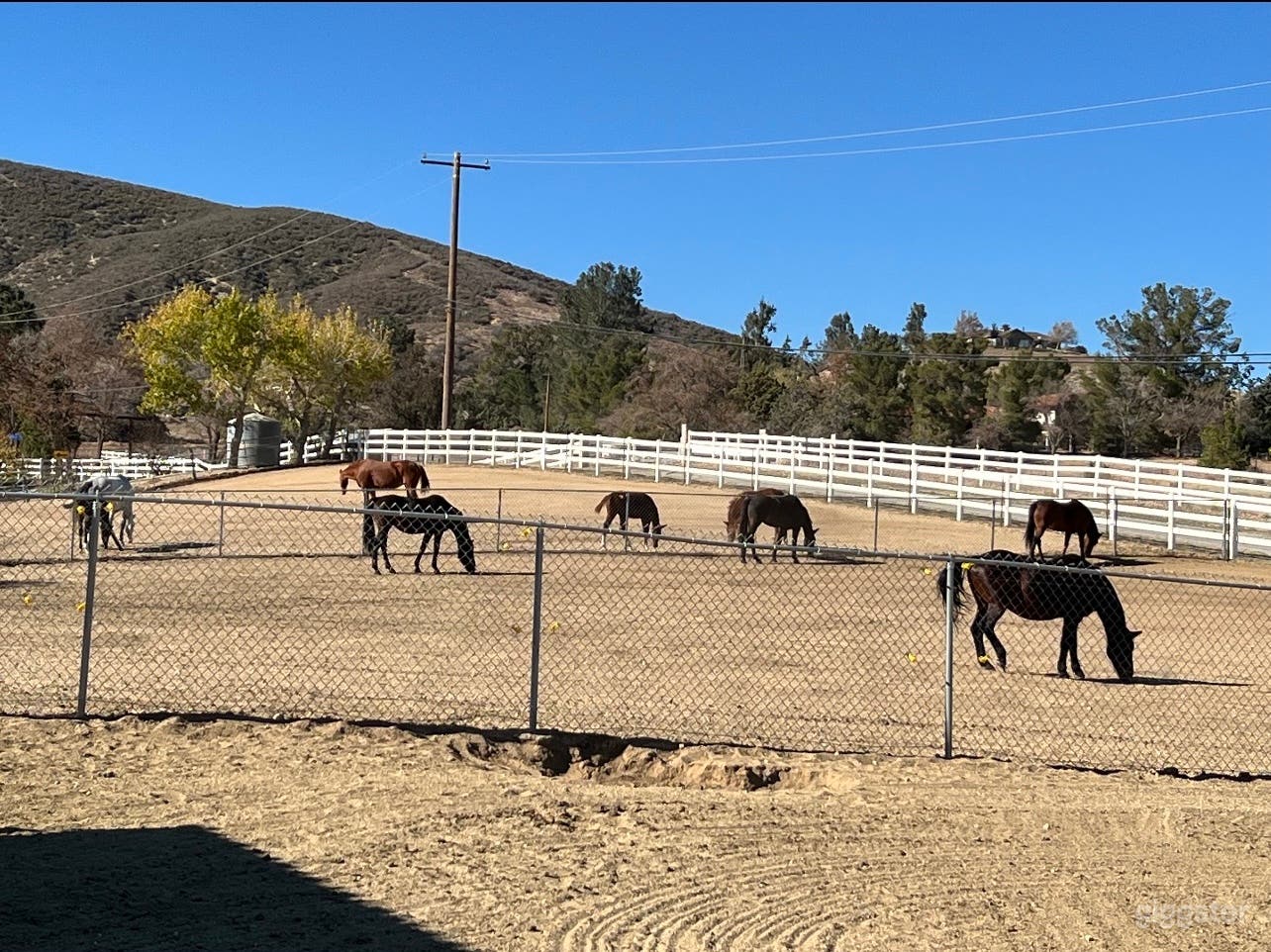 10 Acre Horse Ranch Photo 2