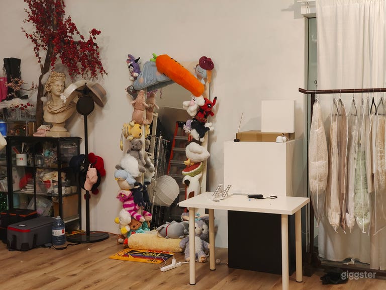  Artsy Pastel Photography Studio 