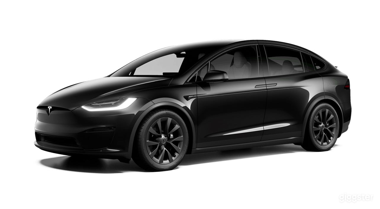 Tesla Model X Long Range Photo 4