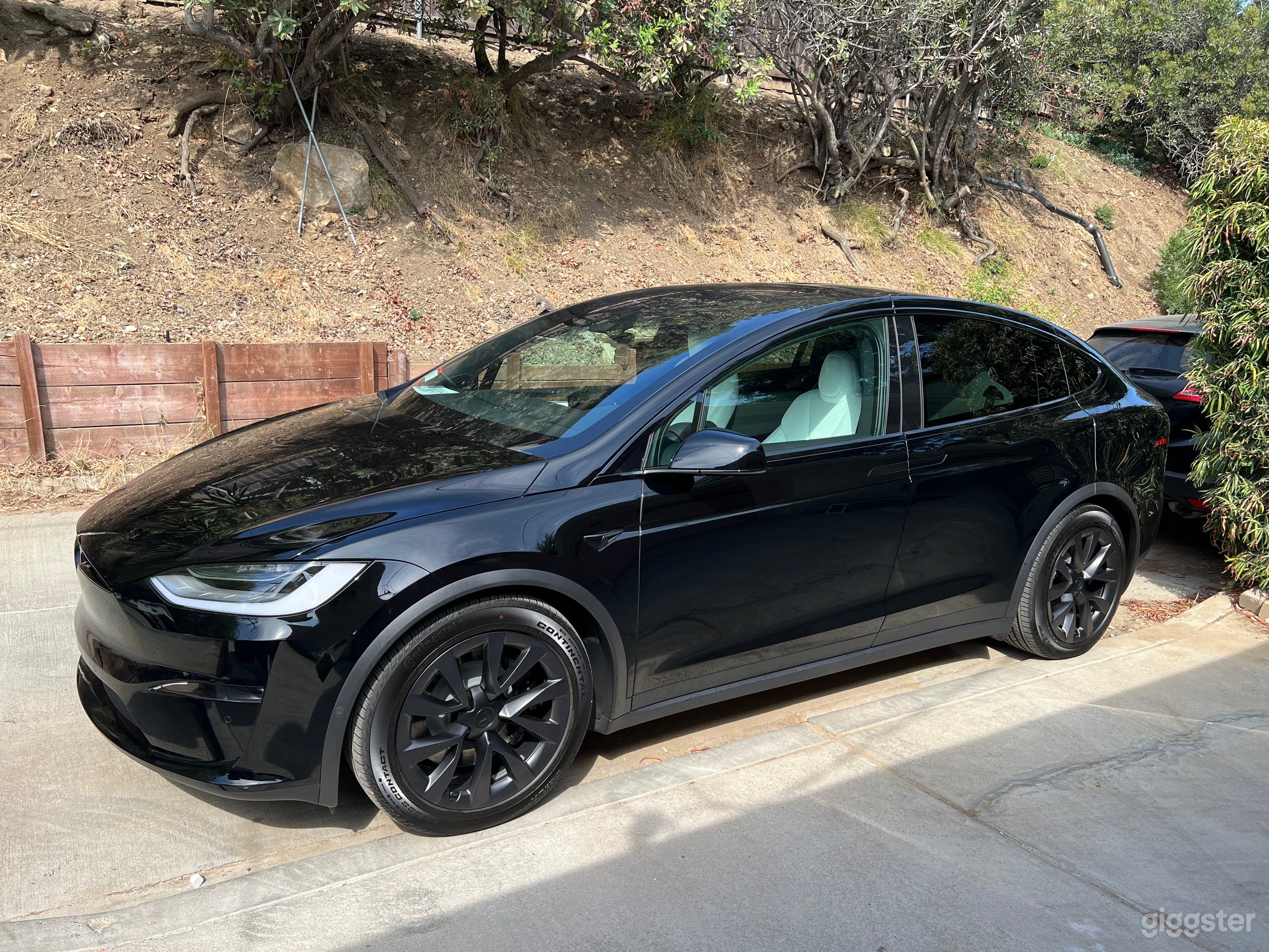 Tesla Model X Long Range Photo 1