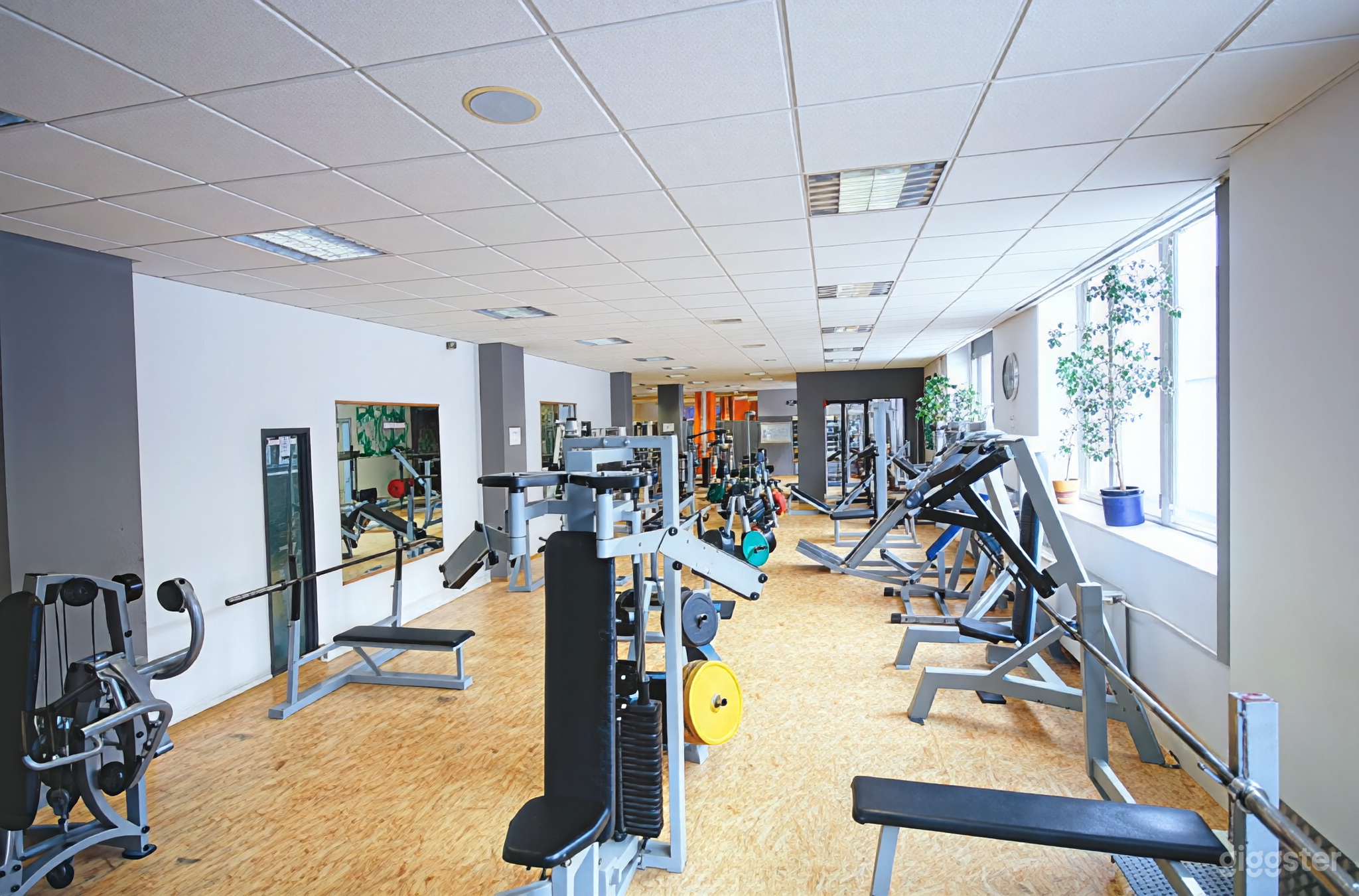 Modern Functional Training Gym & Fitness Studio Foto 3