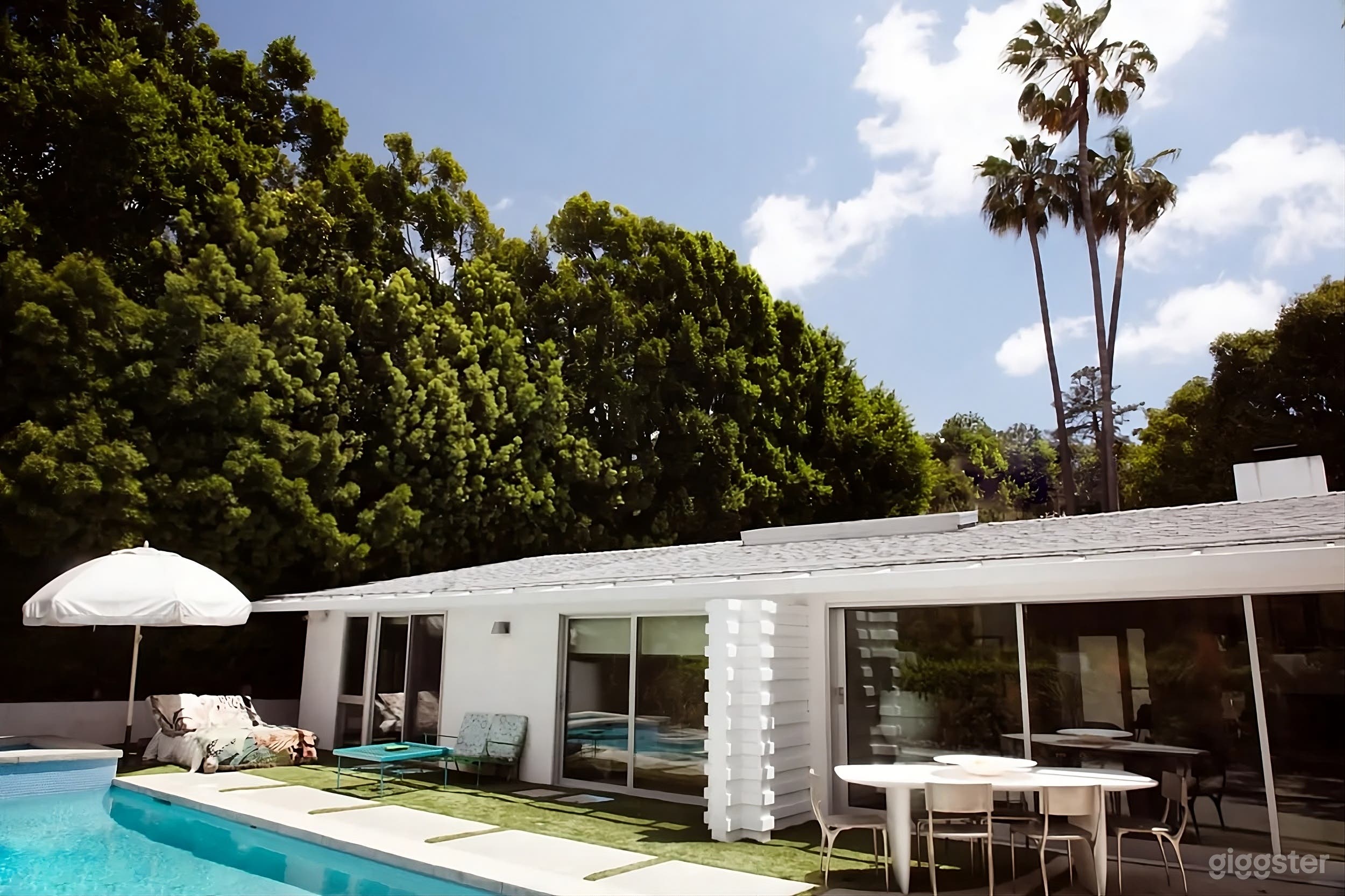 Mid-Century Modern Backyard Photo 2