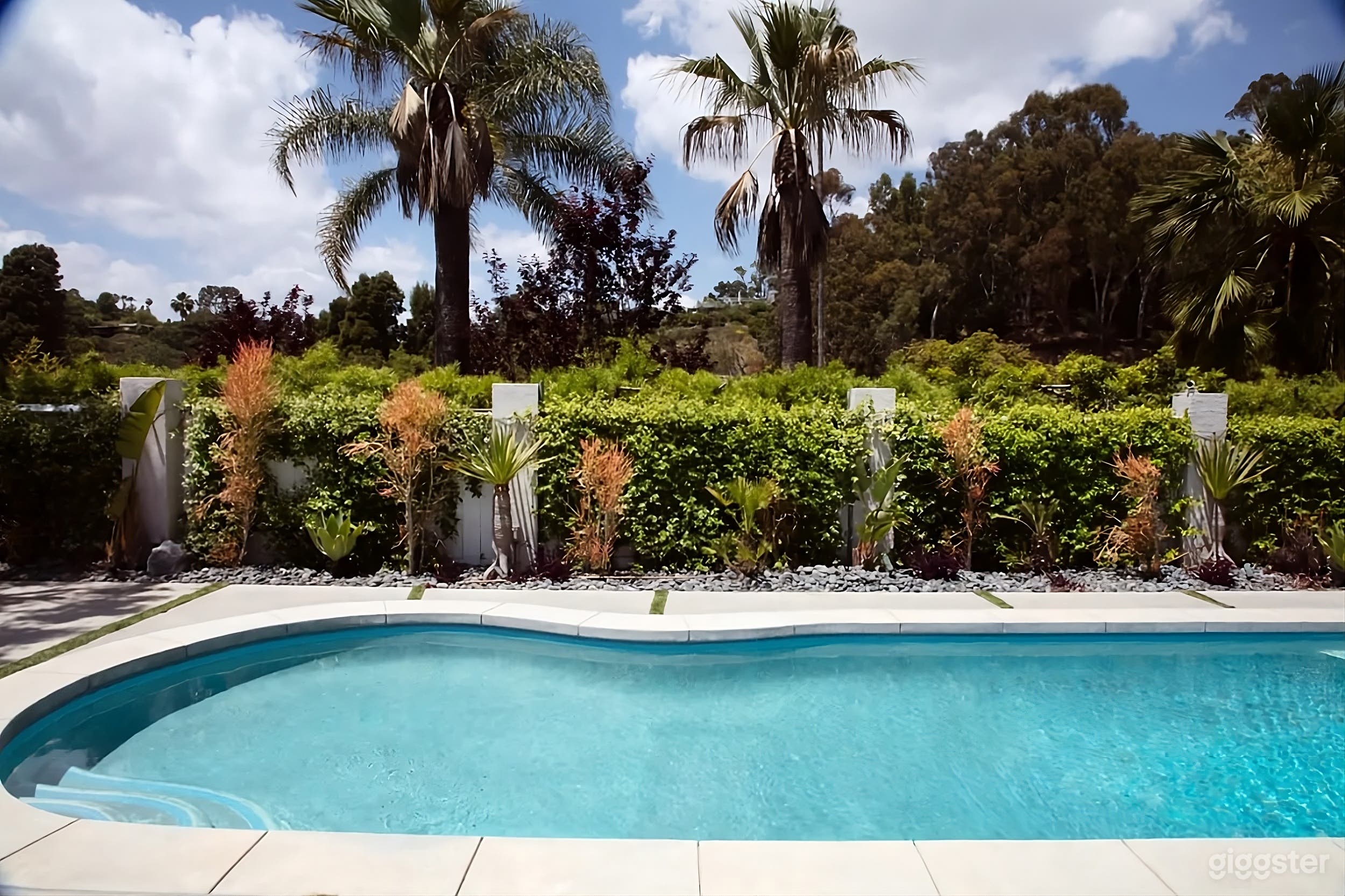 Mid-Century Modern Backyard Photo 4