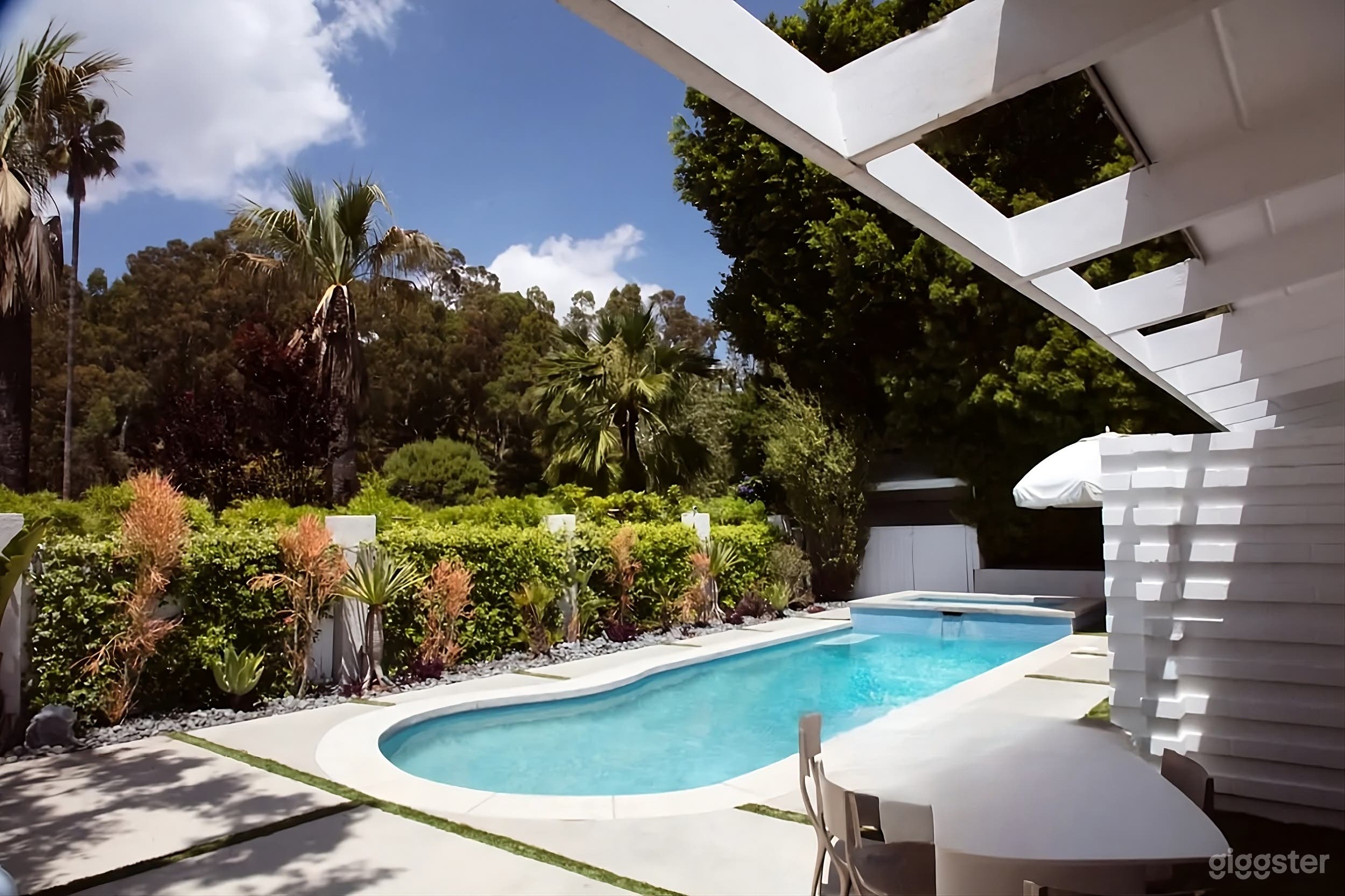 Mid-Century Modern Backyard Photo 1