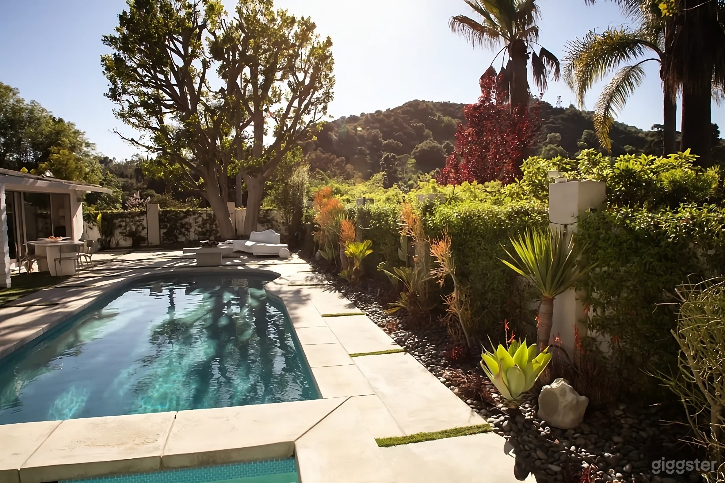 Mid-Century Modern Backyard Photo 3