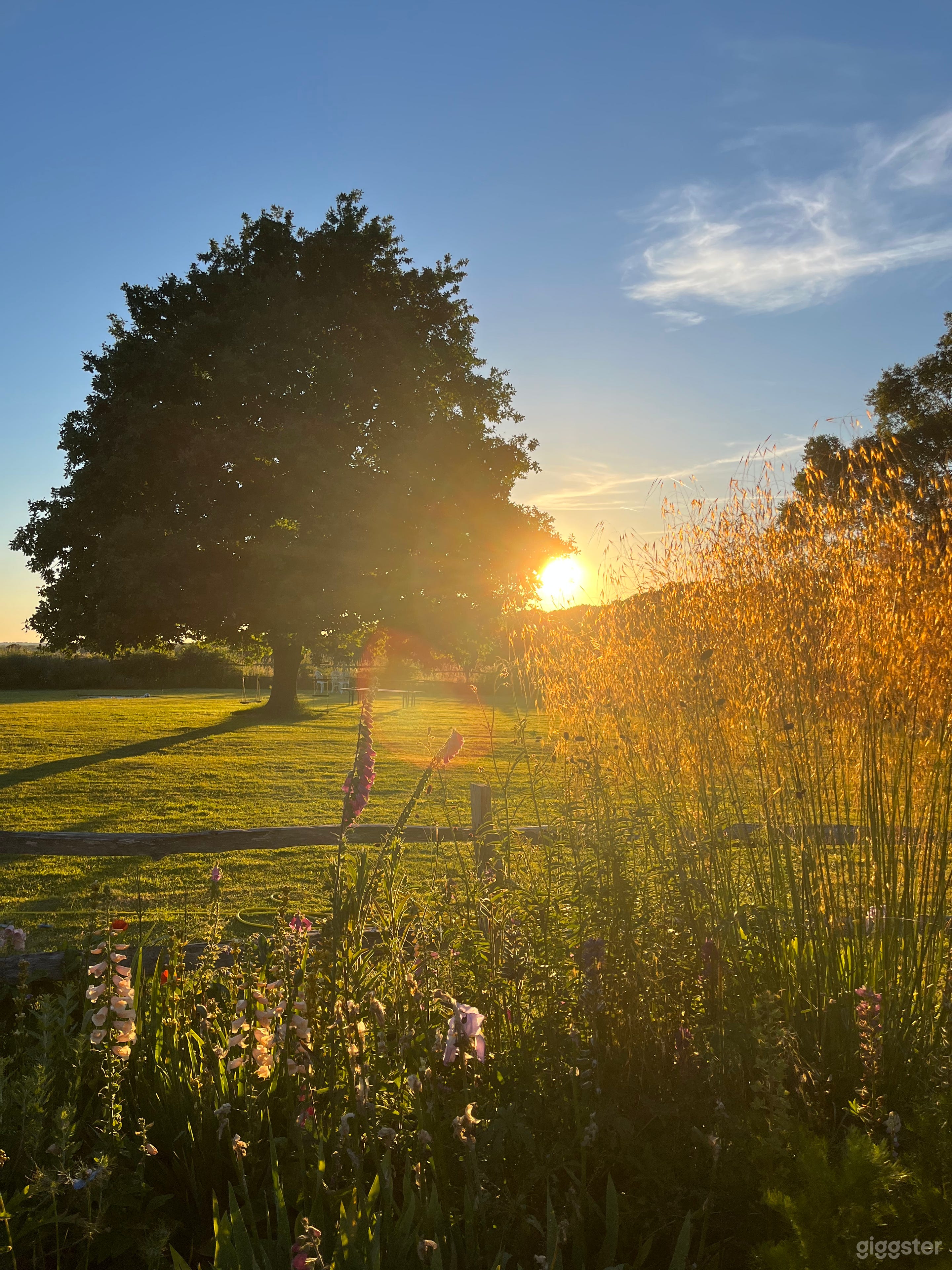 Rural Sussex barn and garden Photo 2