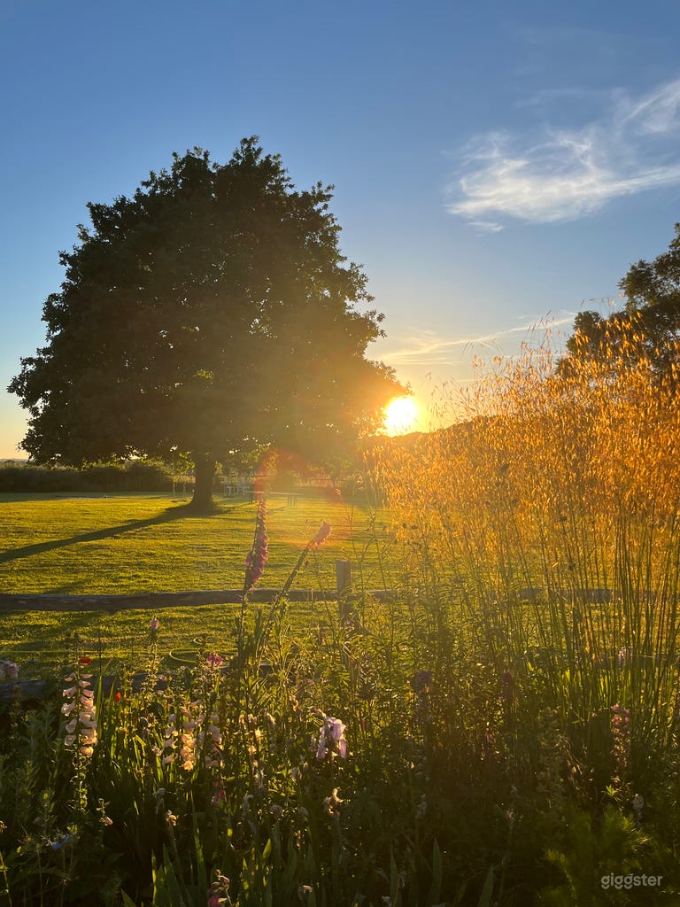  Rural Sussex barn and garden 