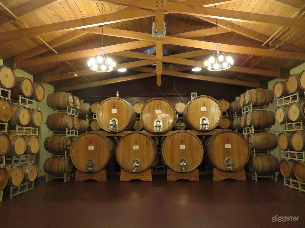 Temecula's Winery with Event venues (Buyout) Photo 4