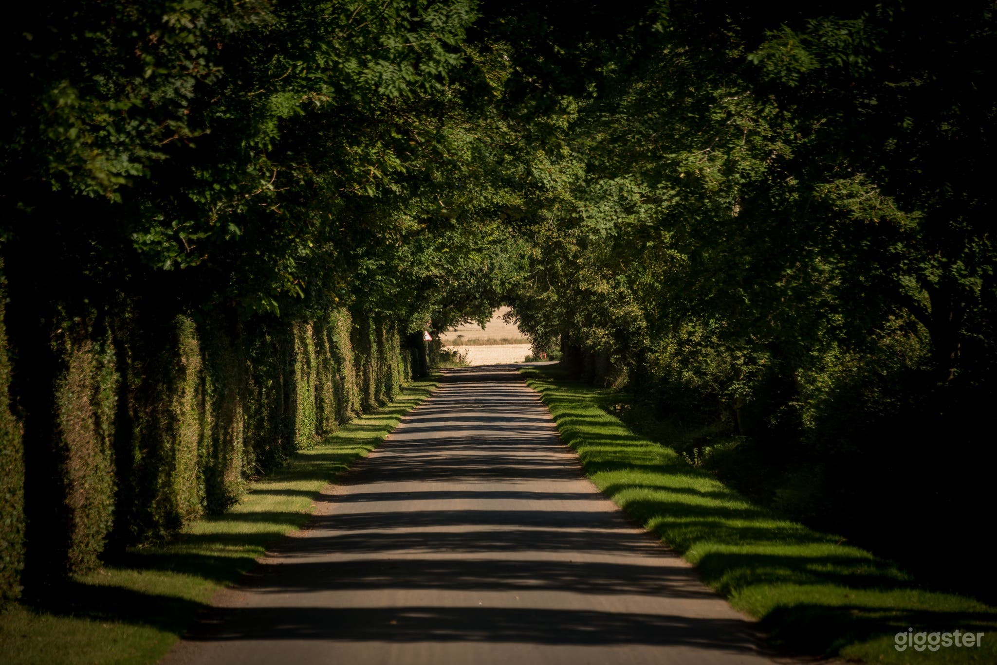 Bright Outdoor Garden for Intimate &amp; Grand Events Photo 2