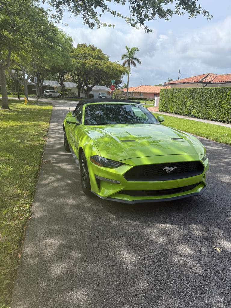  Spazio Mobile Mustang Verde Vibrante per Servizi Fotografici 
