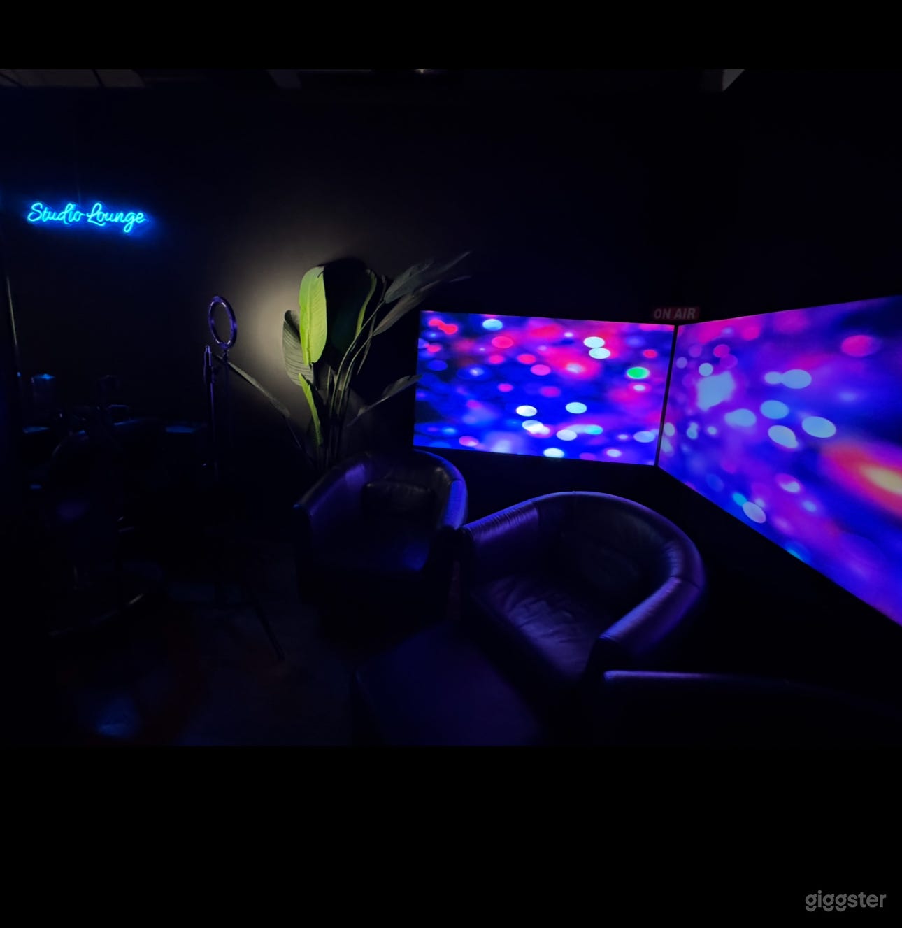 Studio Lounge Photo 2