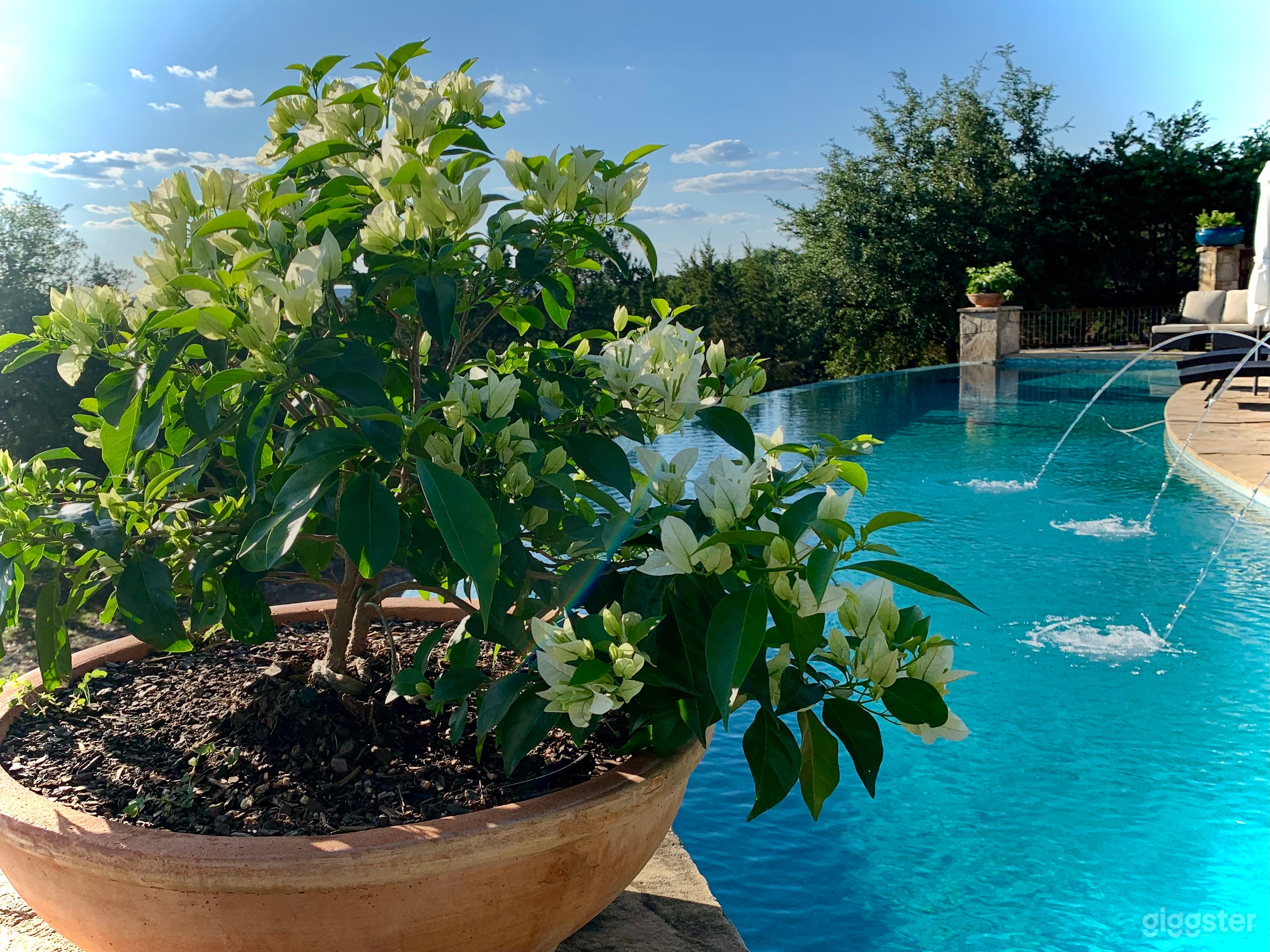 Poolside calm with a Spanish Hill Country soul.