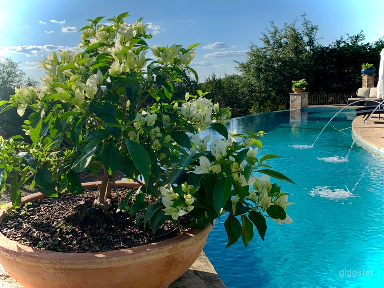  Poolside calm with a Spanish Hill Country soul. 