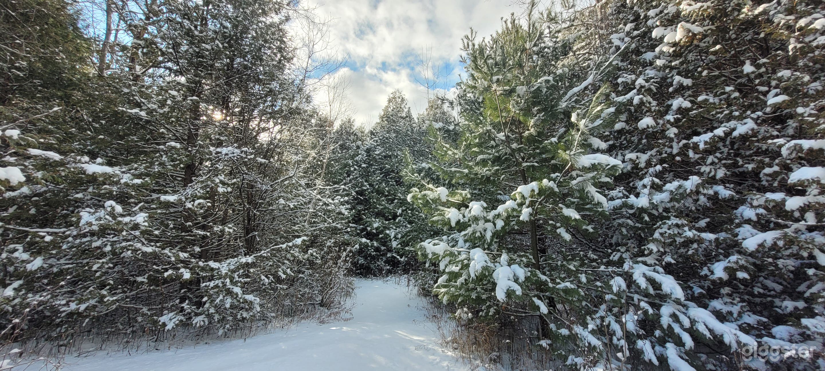 111-Acre Forest Chalet with Lavender &amp; Fire Pit Photo 4
