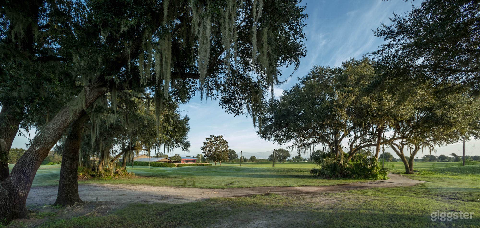 Beautiful Live Oaks on the back 9 holes