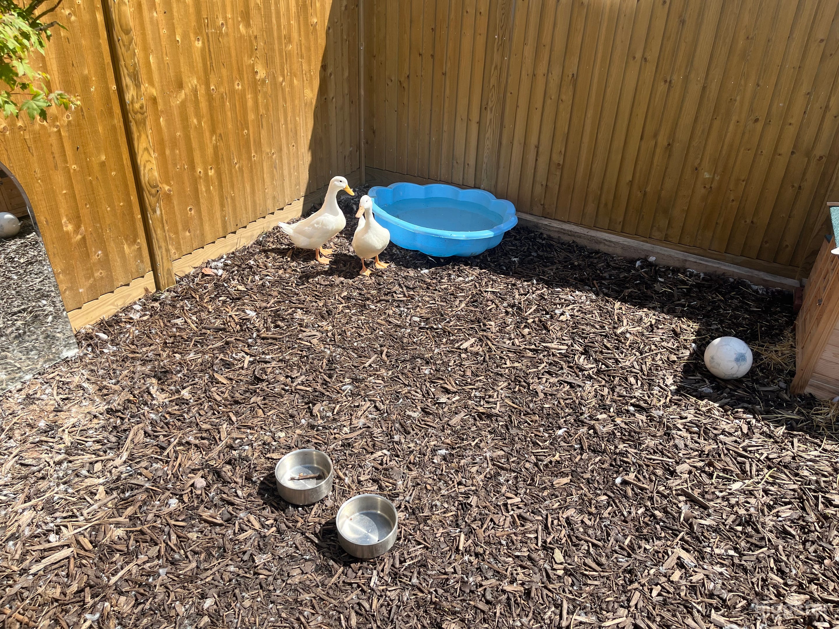 Detached typical British outdoor Garage Photo 4