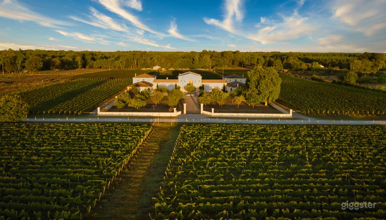  Grand Château dans le Bordelais 