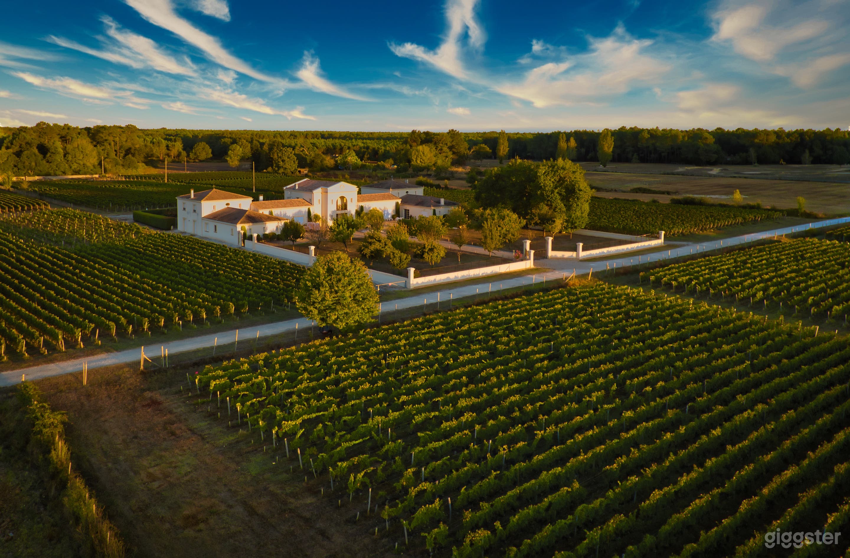 Photo de Grand Château dans le Bordelais 2