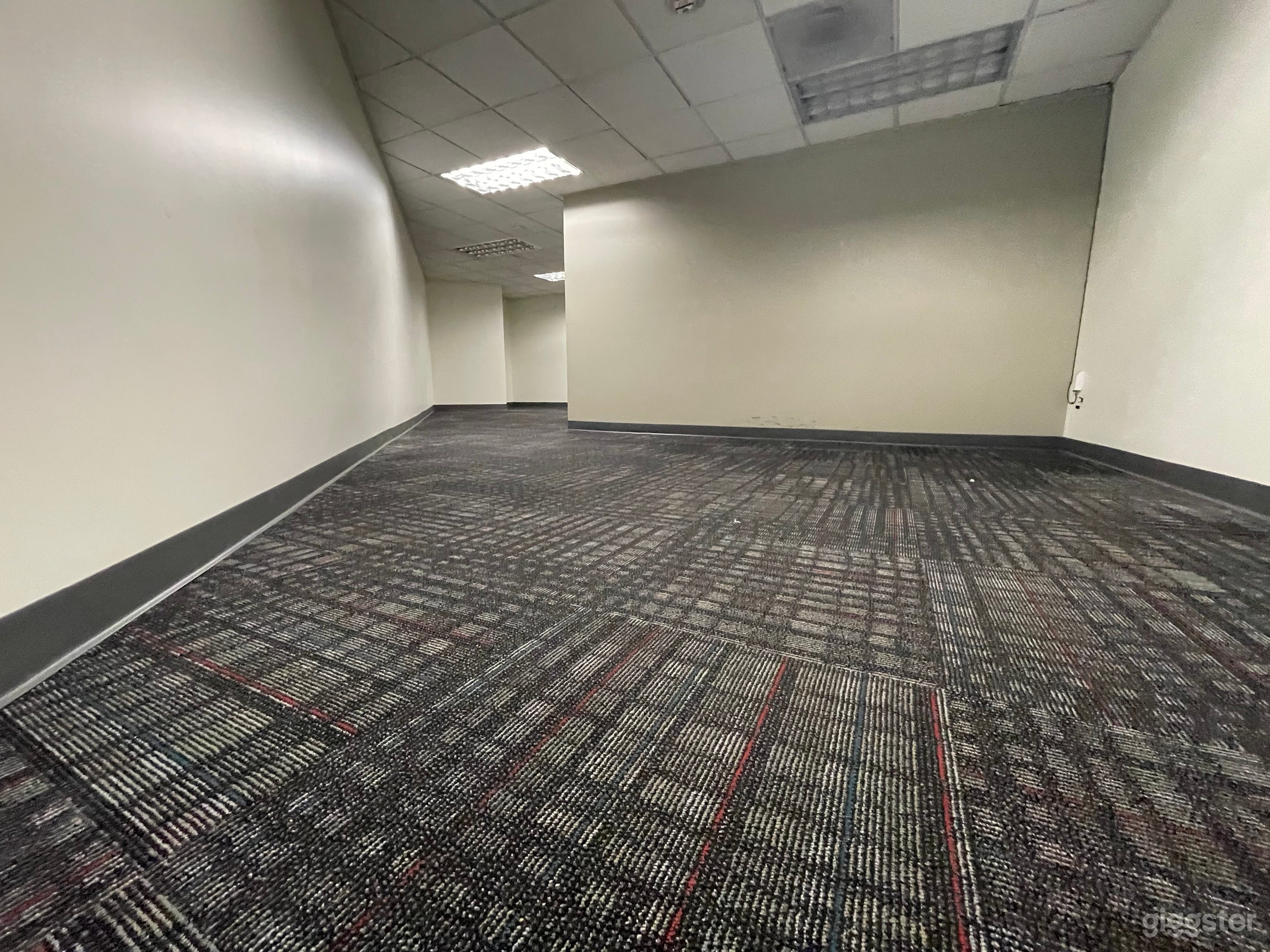 Suite 301: THE ARSENIO HALL SHOW (LAX) Photo 4